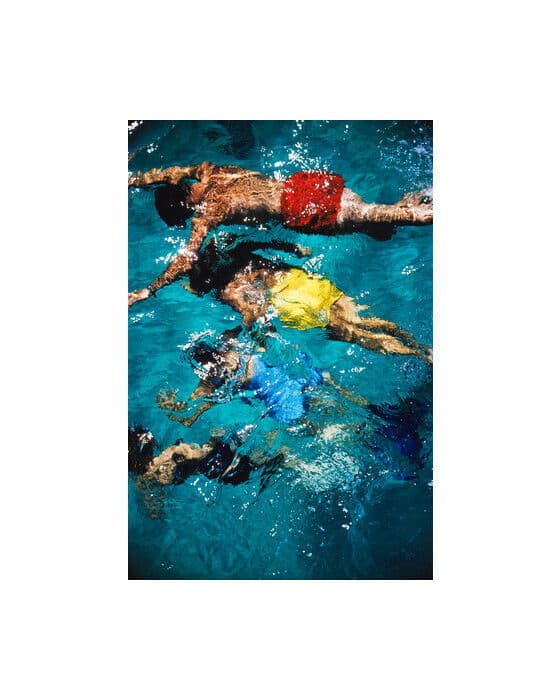 Swimming In The Bahamas