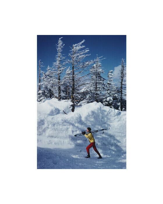 Skier In Vermont