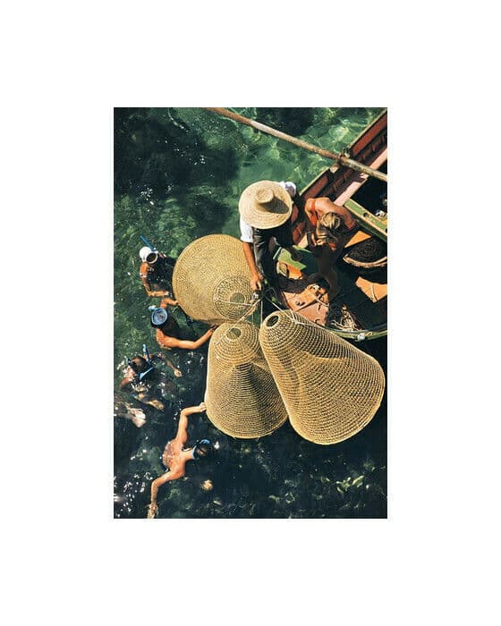 Snorkelling In The Shallows