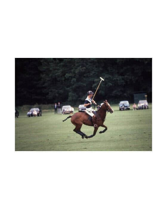 Polo Prince
